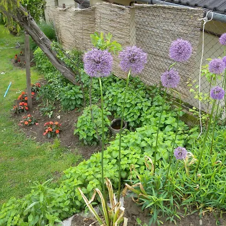 In - Balaton 19721 Hébergement de vacances *